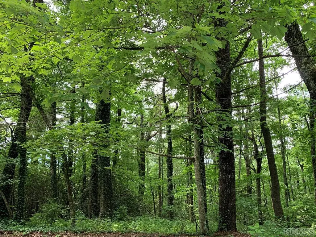 Tbd N 5th Street Highlands NC 28741