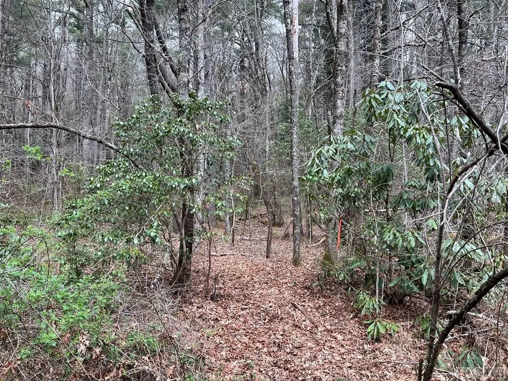 Tbd N 5th Street Highlands NC 28741