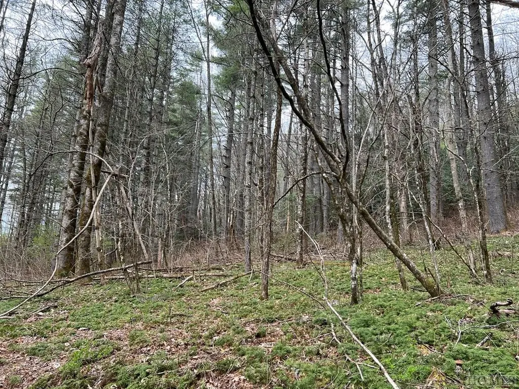 Tbd N 5th Street Highlands NC 28741