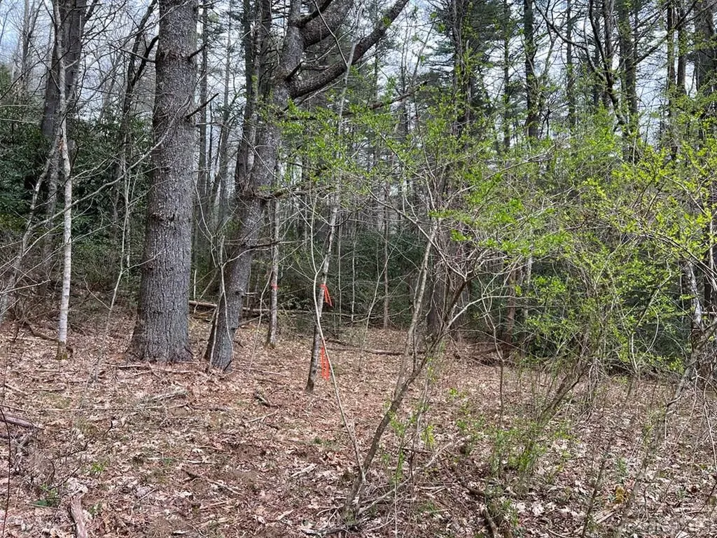 Tbd N 5th Street Highlands NC 28741