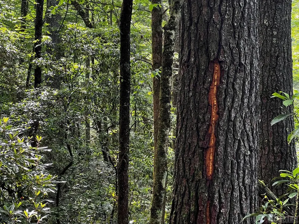 Tbd N 5th Street Highlands NC 28741