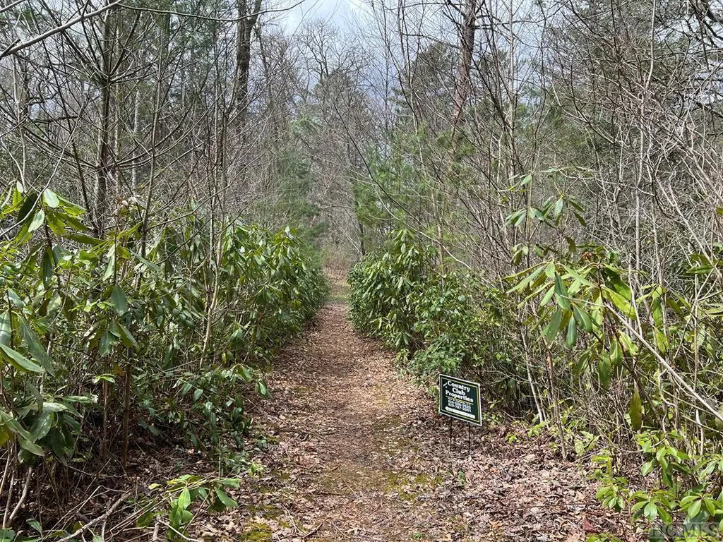 Tbd N 5th Street Highlands NC 28741