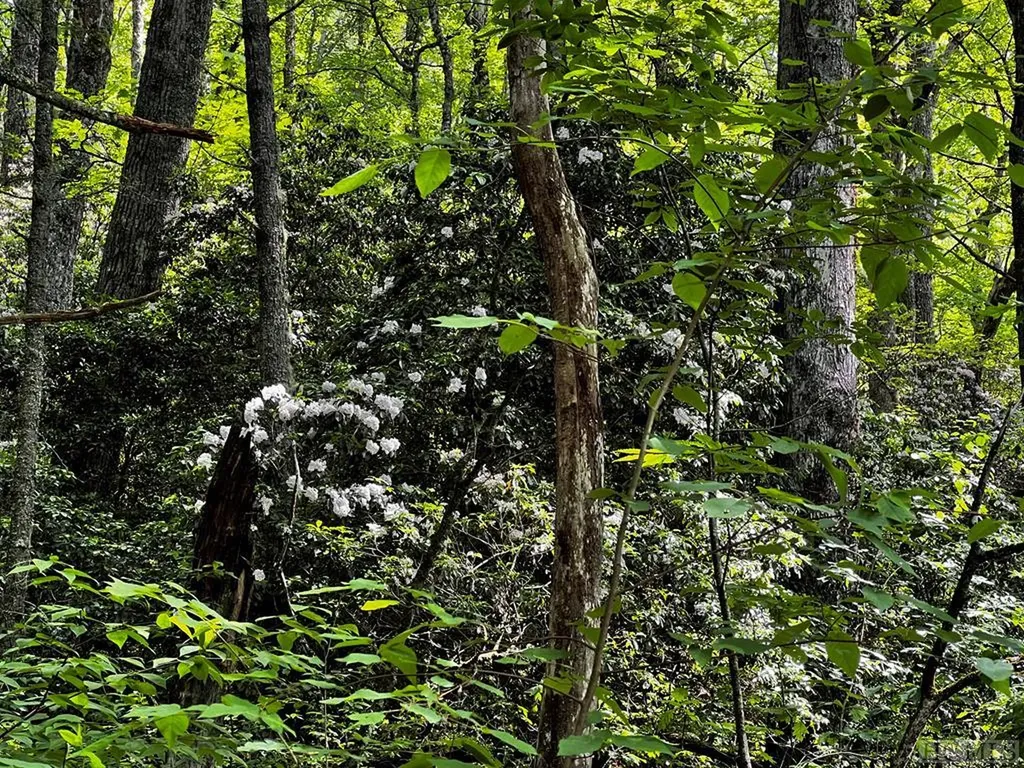 Tbd N 5th Street Highlands NC 28741