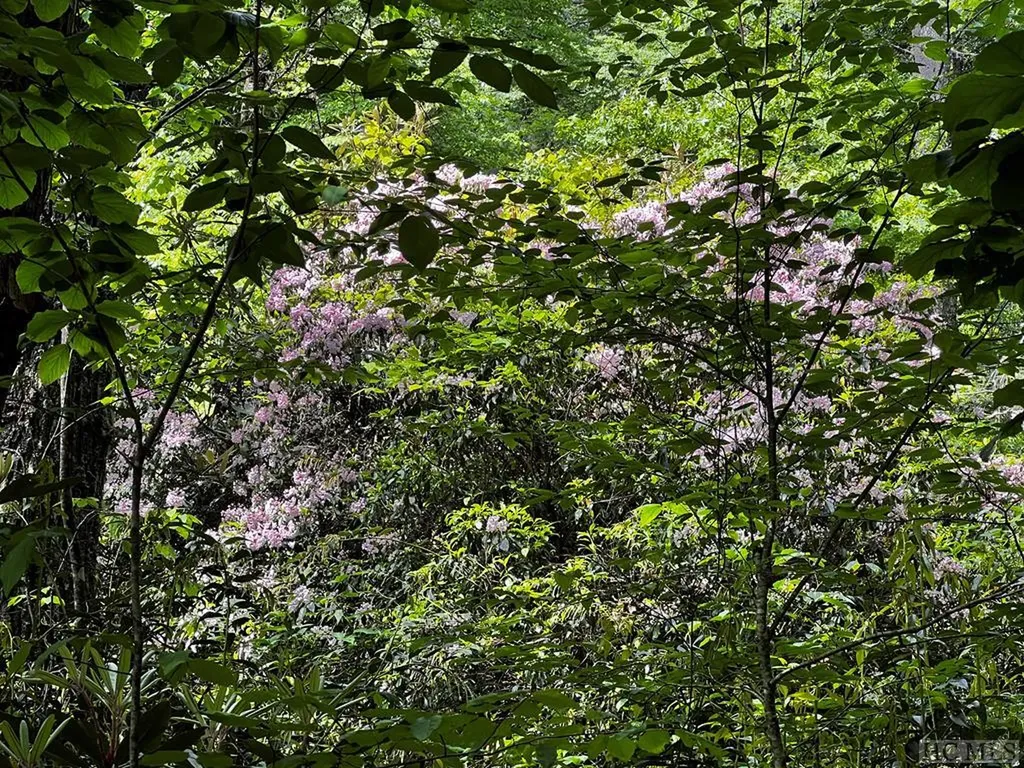 Tbd N 5th Street Highlands NC 28741