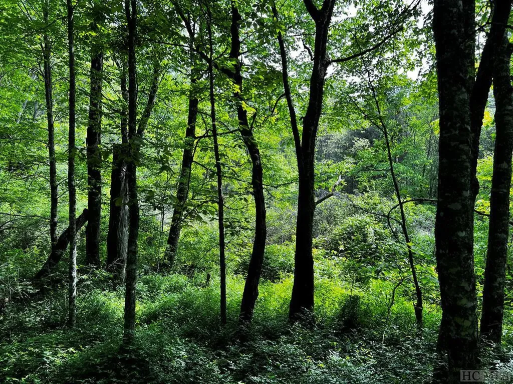 Tbd N 5th Street Highlands NC 28741