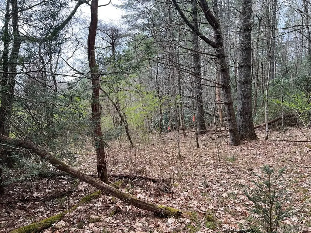 Tbd N 5th Street Highlands NC 28741