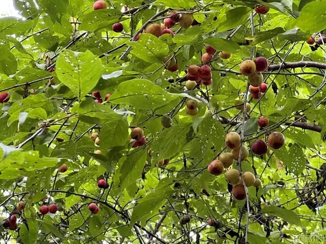 Tbd N 5th Street Highlands NC 28741