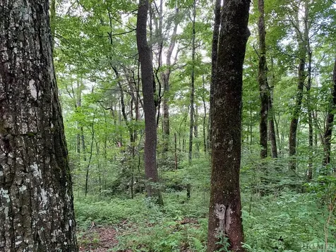 Tbd N 5th Street Highlands NC 28741