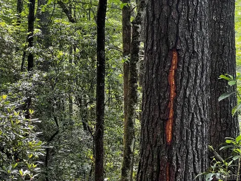 Tbd N 5th Street Highlands NC 28741