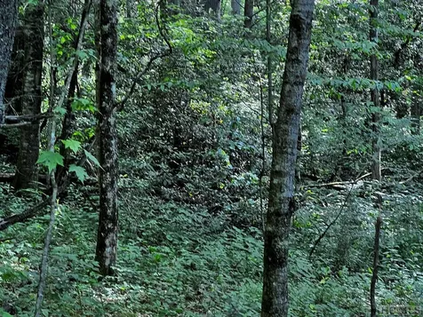 Tbd N 5th Street Highlands NC 28741