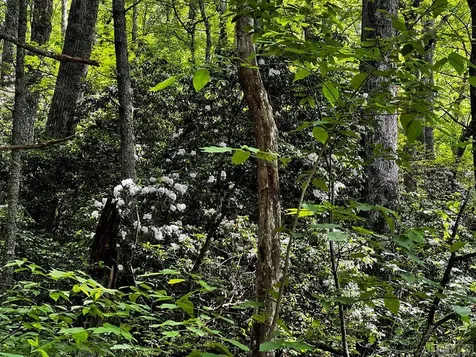 Tbd N 5th Street Highlands NC 28741