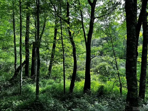 Tbd N 5th Street Highlands NC 28741