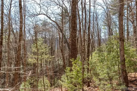 Lot 35 Trillium Court Sapphire NC 28774