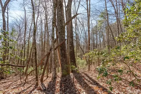 Lot 35 Trillium Court Sapphire NC 28774