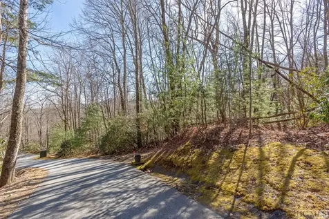 Lot 35 Trillium Court Sapphire NC 28774