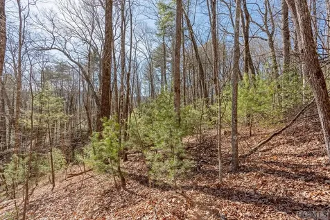 Lot 35 Trillium Court Sapphire NC 28774