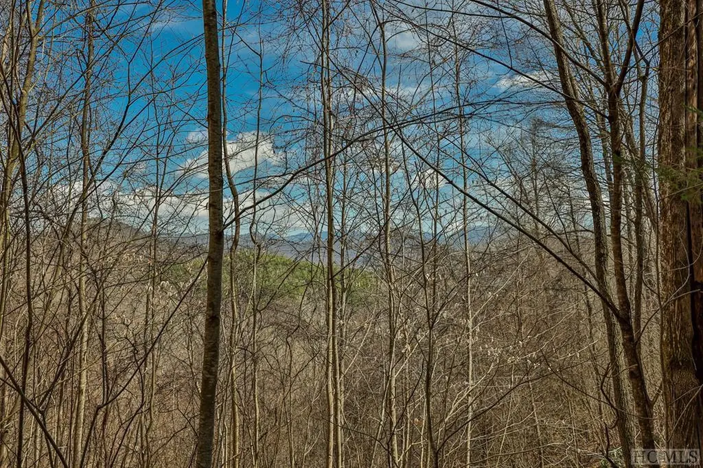 Lot 47 Yellow Palmer Lane Tuckasegee NC 28783