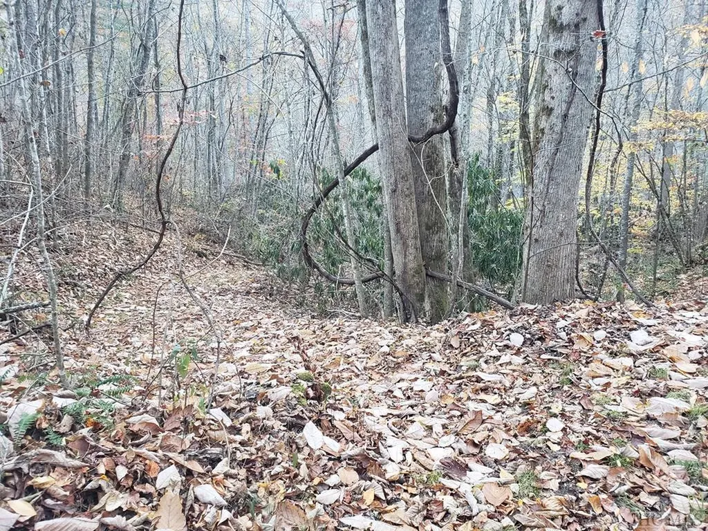 13 Hares Ear Tuckasegee NC 28783