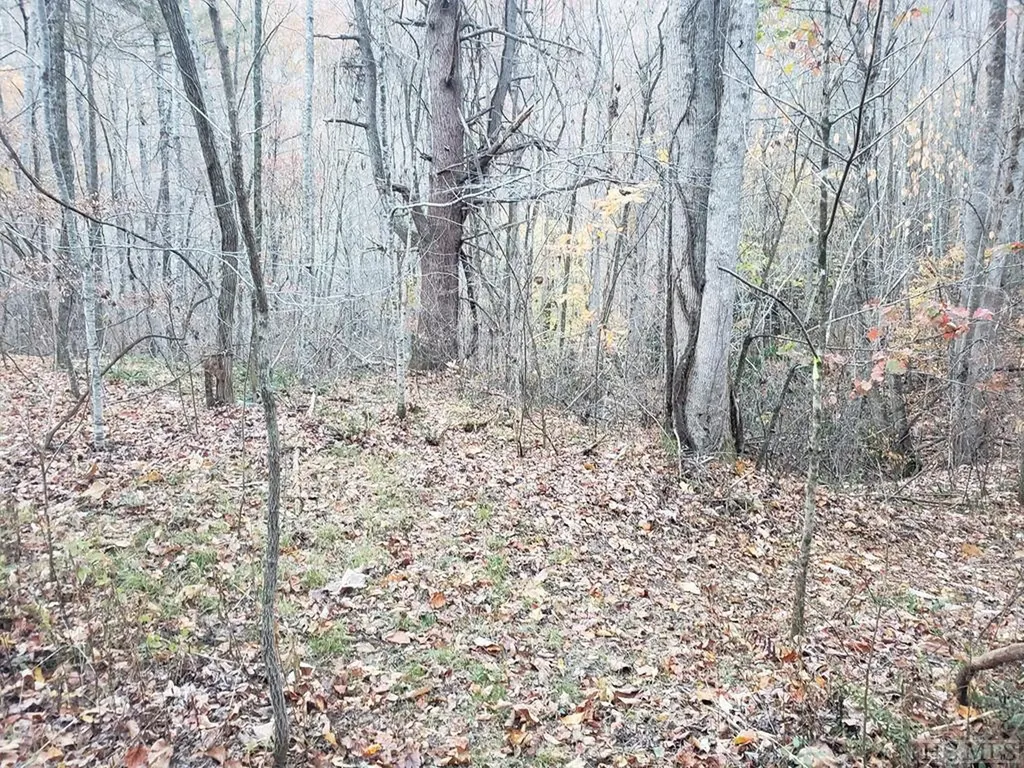 13 Hares Ear Tuckasegee NC 28783