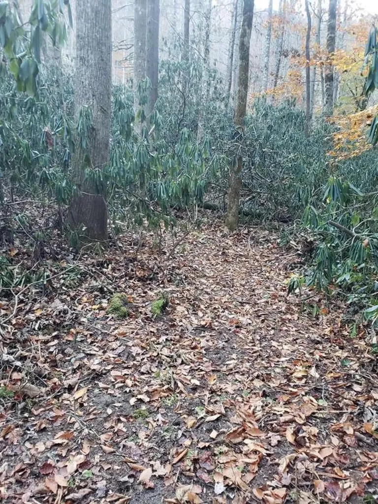 13 Hares Ear Tuckasegee NC 28783