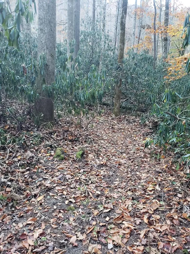 13 Hares Ear Tuckasegee NC 28783