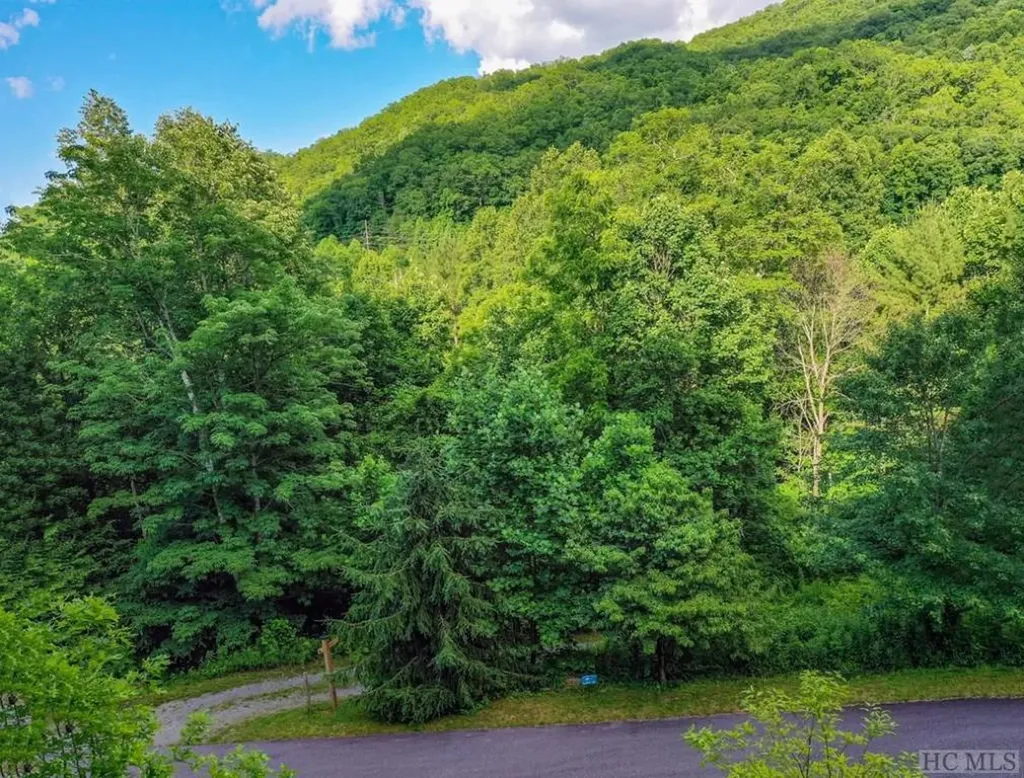 13 Hares Ear Tuckasegee NC 28783