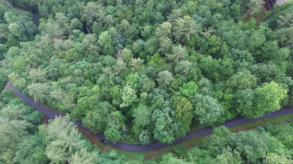 Lot 2 Sapphire Ridge Road Sapphire NC 28774