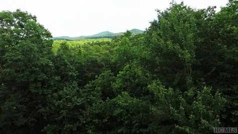Lot 2 Sapphire Ridge Road Sapphire NC 28774