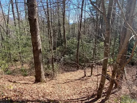 Lot 2 Sapphire Ridge Road Sapphire NC 28774