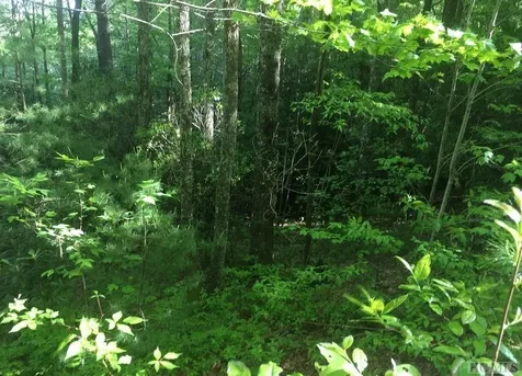 Lot 2 Sapphire Ridge Road Sapphire NC 28774