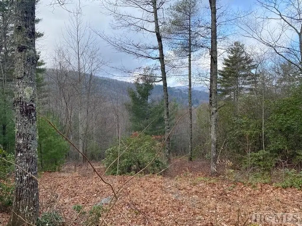 148 E Ridge Road Cashiers NC 28717