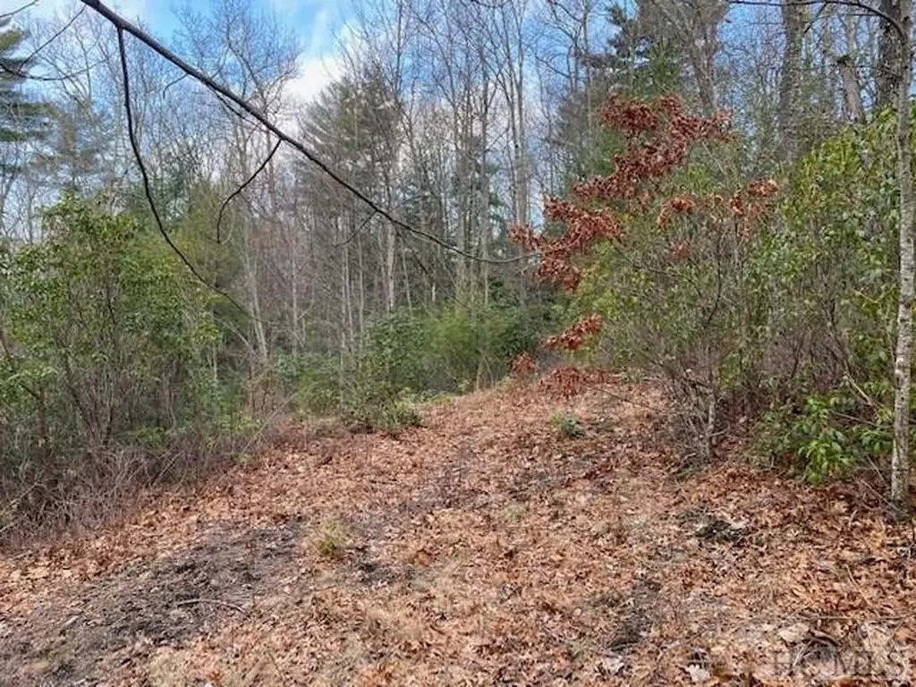 148 East Ridge Road Cashiers NC 28717