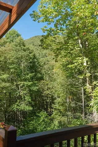 2597 W Christy Trail Sapphire NC 28774