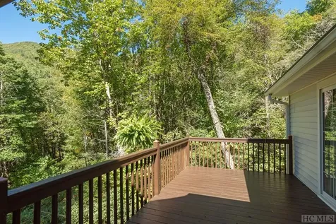 2597 W Christy Trail Sapphire NC 28774