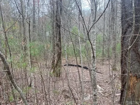 Lot 67 Still Woods Trail Cullowhee NC 28783