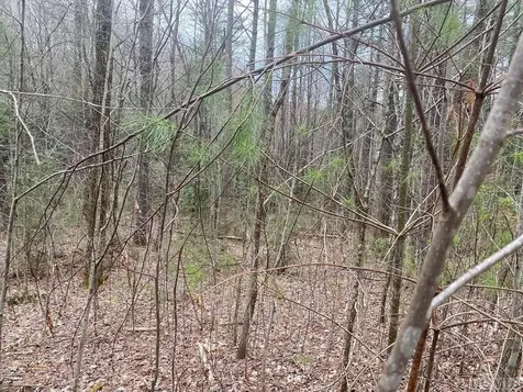 Lot 67 Still Woods Trail Cullowhee NC 28783