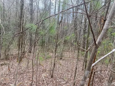 Lot 67 Still Woods Trail Cullowhee NC 28783