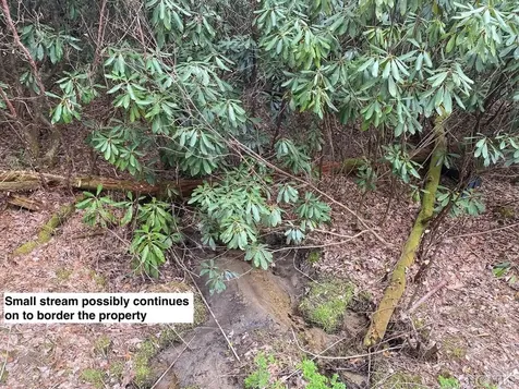 Lot 67 Still Woods Trail Cullowhee NC 28783
