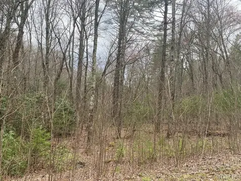Lot 67 Still Woods Trail Cullowhee NC 28783