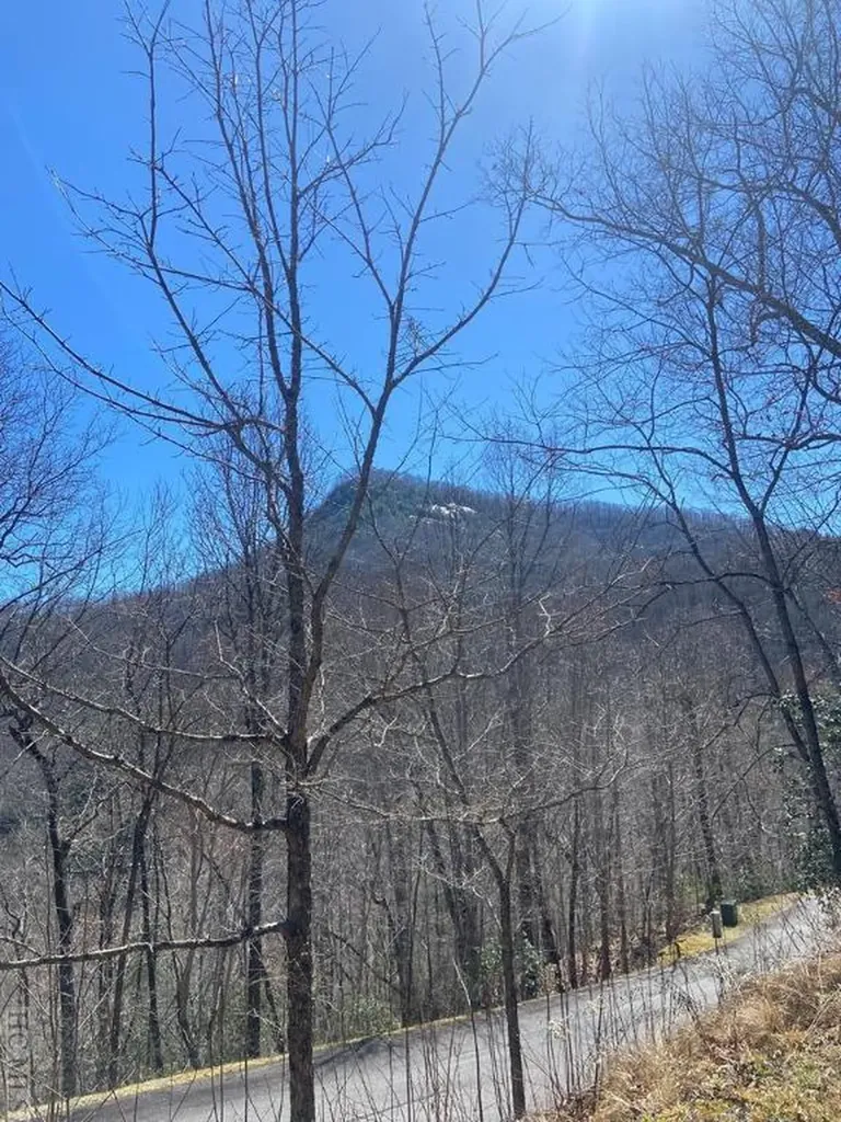 27a Mayfly Drive Tuckasegee NC 28783