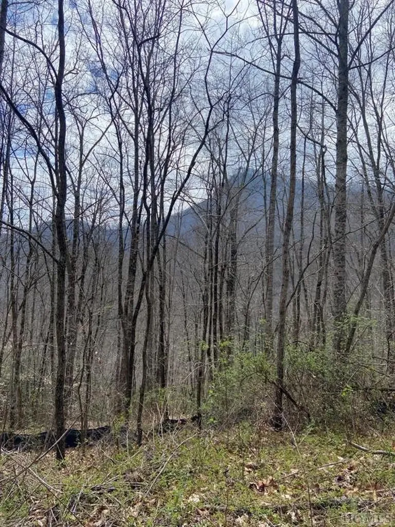 8b/9 Lowland Glade Drive Tuckasegee NC 28783