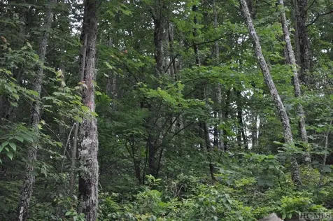 Lot 11 No End Circle Cullowhee NC 28723