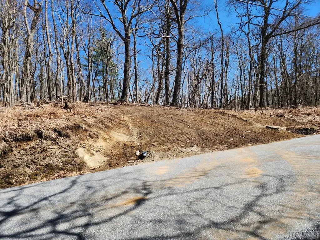 Lot 51 Tower Road Sapphire NC 28774
