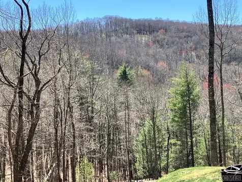 103 Fox Knob Drive Glenville NC 28736