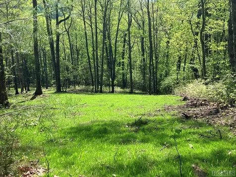 103 Fox Knob Drive Glenville NC 28736