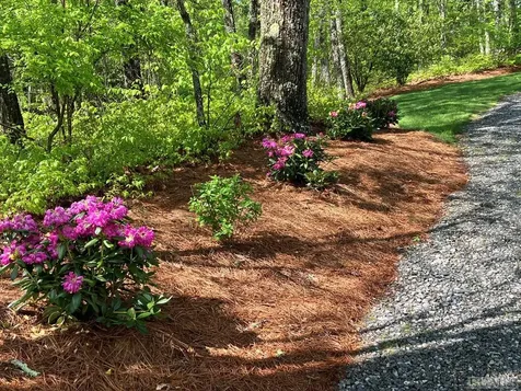 103 Fox Knob Drive Glenville NC 28736