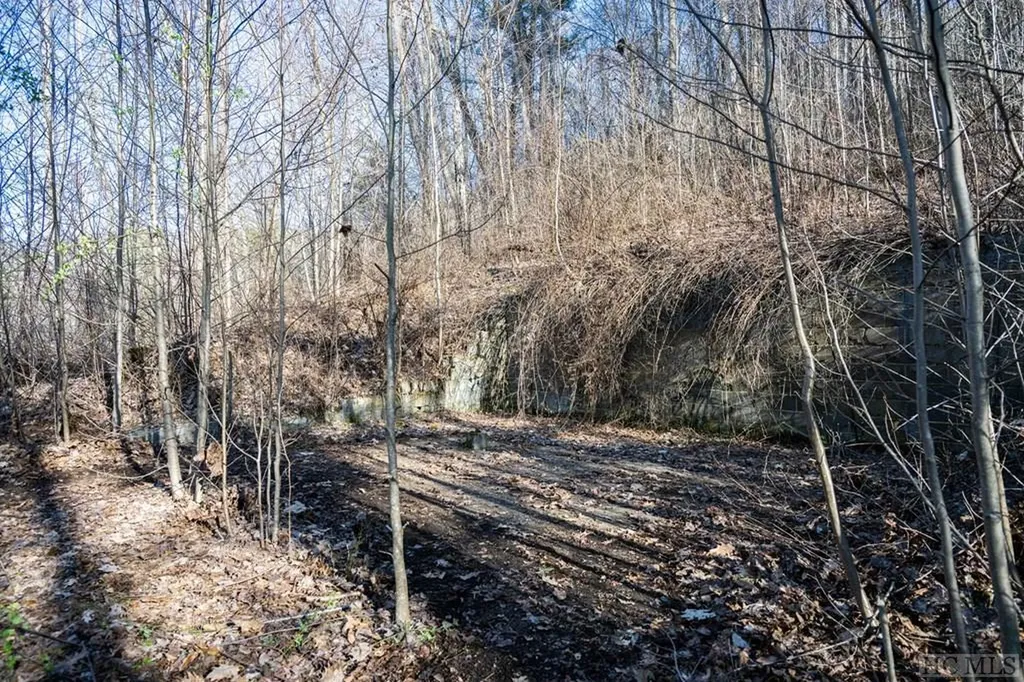 689 Concho Mountain Road Cullowhee NC 28723