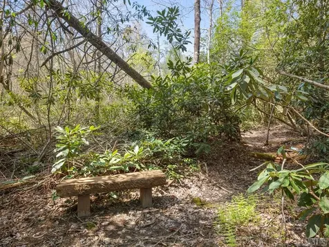 117 Sunrise Ridge Court Sapphire NC 28774