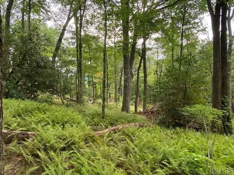 346 Triple Farm Cashiers NC 28717