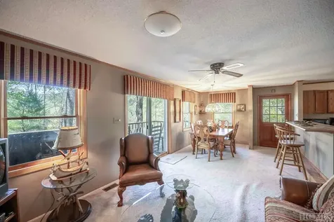 233 River Ridge Tuckasegee NC 28783